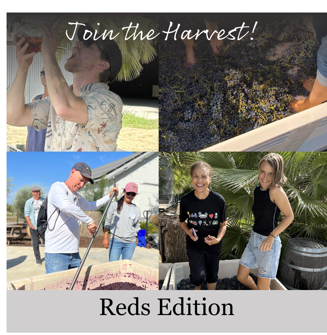 Flyer for Join the Harvest: Reds Edition