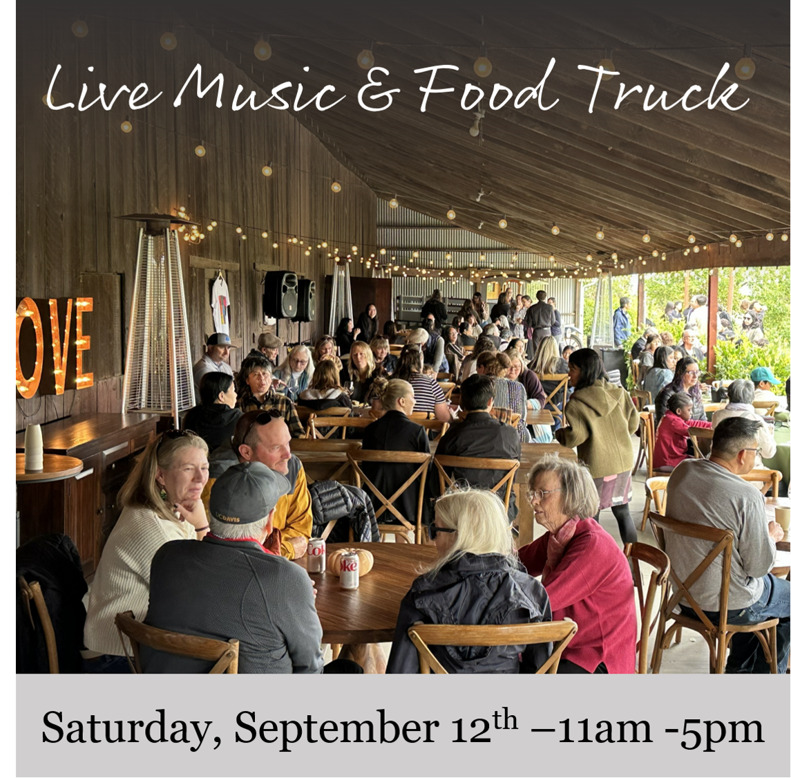 Flyer for Live Music & Food Truck