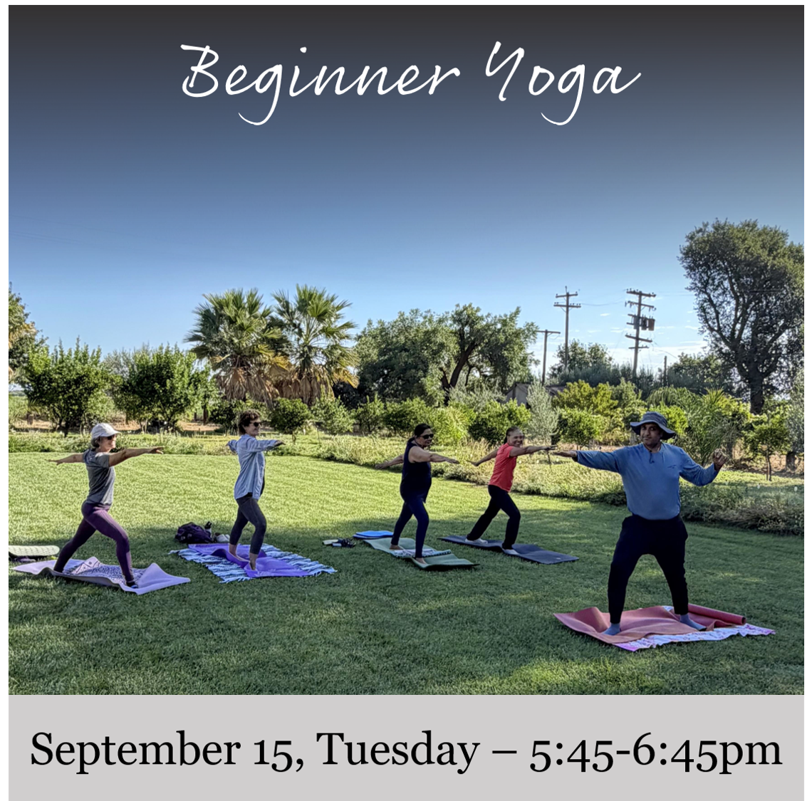 Flyer for Beginner Yoga at the Vineyard