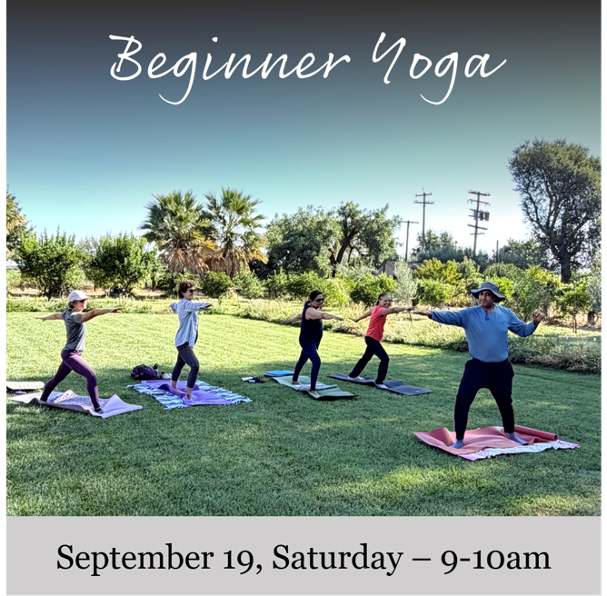 Flyer for Beginner Yoga at the Vineyard