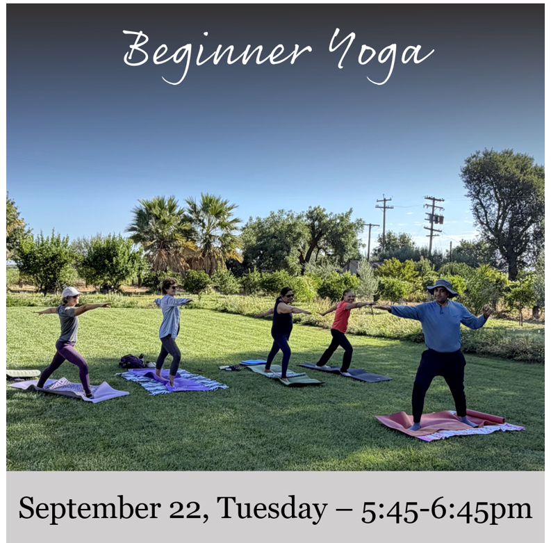 Flyer for Beginner Yoga at the Vineyard