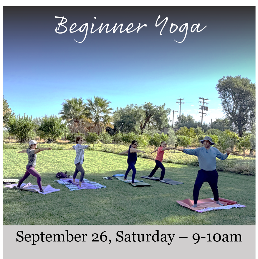 Flyer for Beginner Yoga at the Vineyard