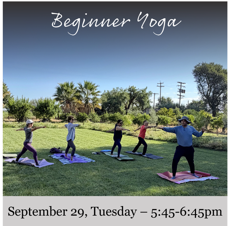Flyer for Beginner Yoga at the Vineyard