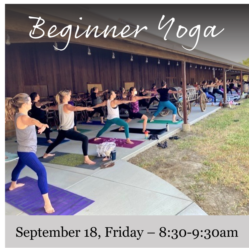Flyer for Beginner Yoga at the Vineyard