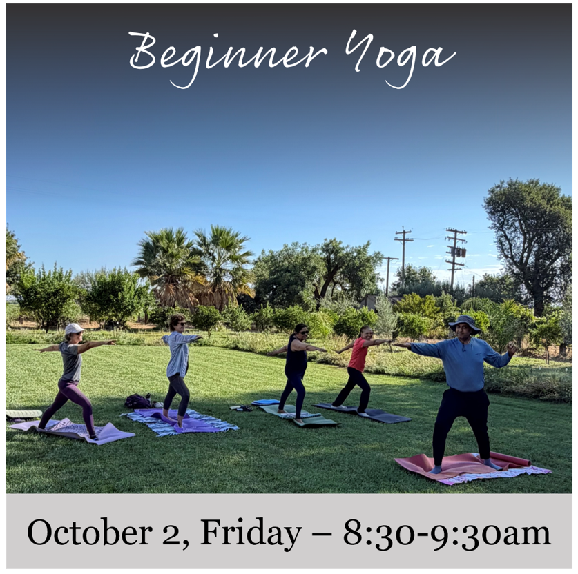 Flyer for Beginner Yoga at the Vineyard