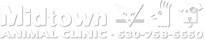 Midtown Animal Clinic logo