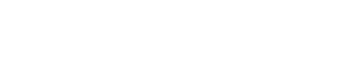 Summer House, Inc. logo
